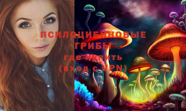 молекула духа Богданович