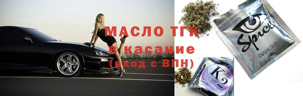 молекула духа Богданович