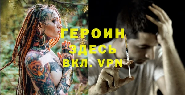 молекула духа Богданович