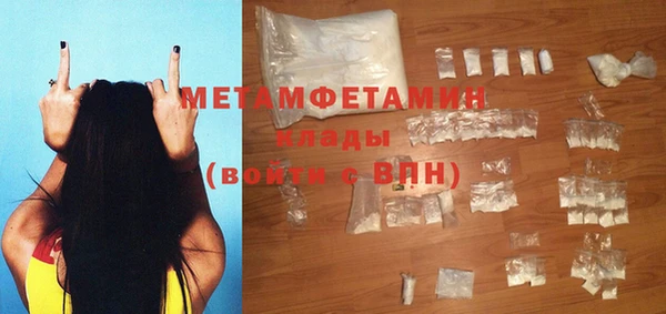 молекула духа Богданович